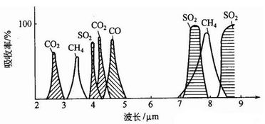 超越人類嗅覺 電子鼻與氣體傳感器的前沿探索